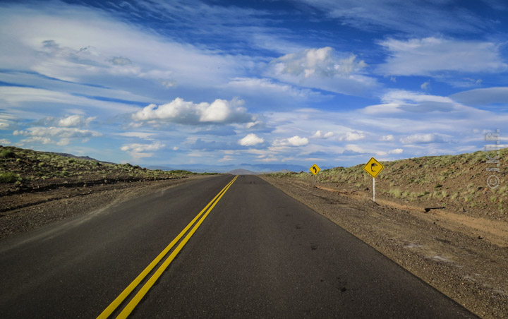 the yellow sign of the bending tree, a trademark of Patagonian winds