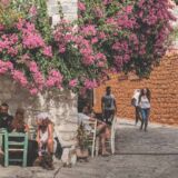 in the cobblestone streets of Areopolis