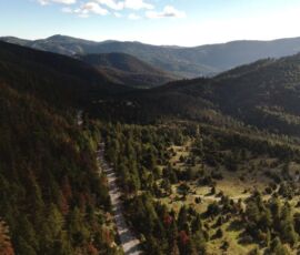 section of the road going through the south part of mount Parnonas, on tour with MotoGreece
